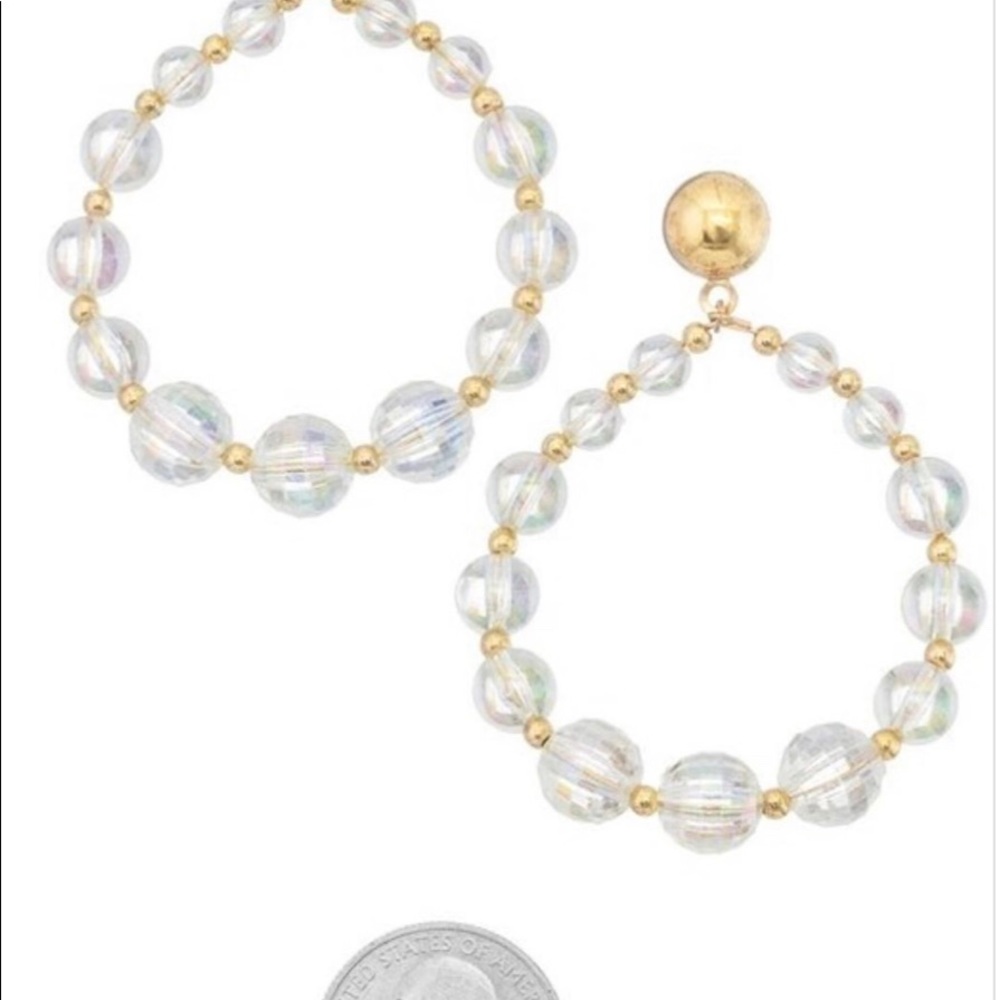 Acrylic and Goldtone Round Earrings